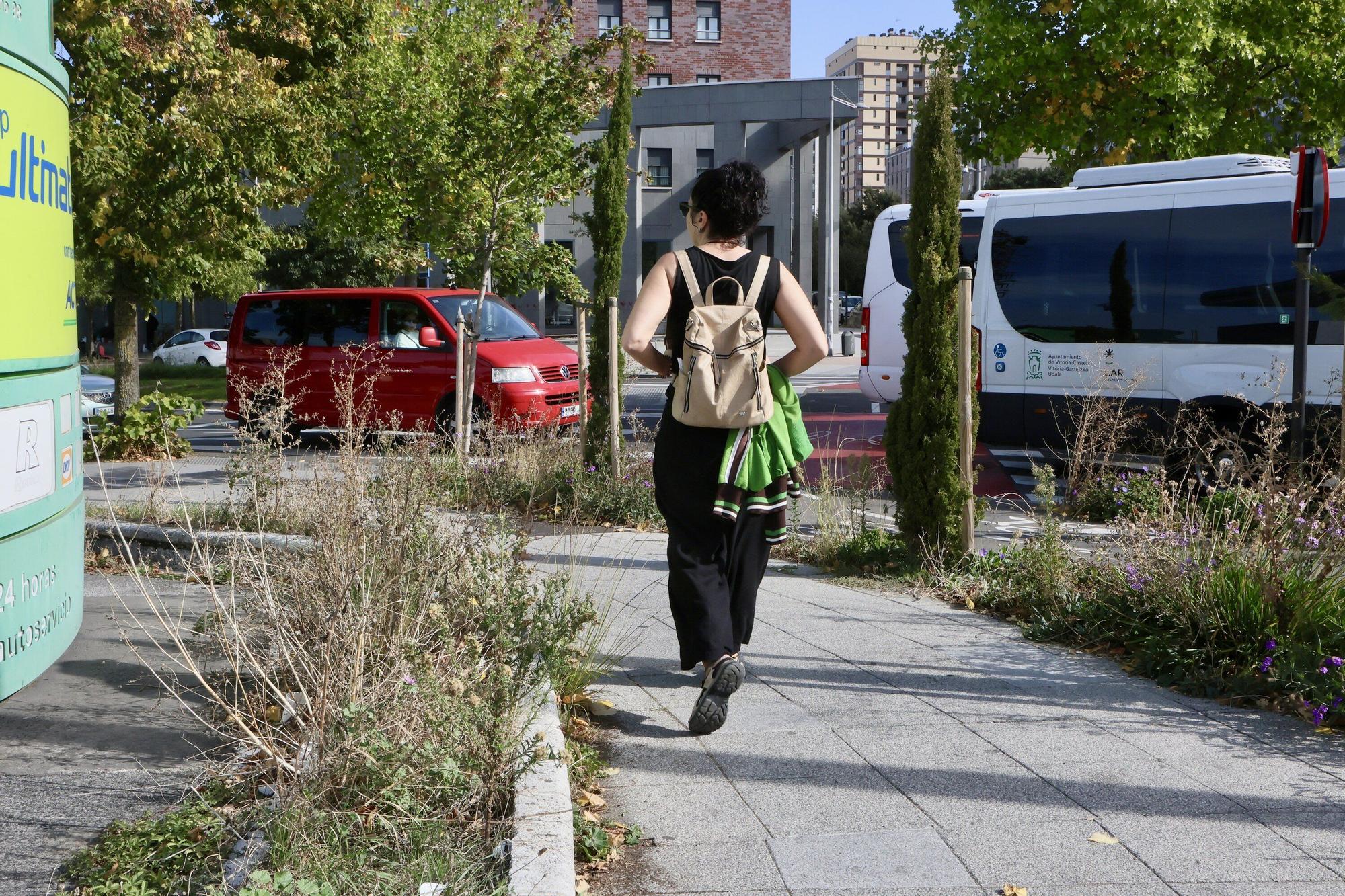 En imágenes: Vitoria-Gasteiz se prepara para adecentar el verde de la ciudad