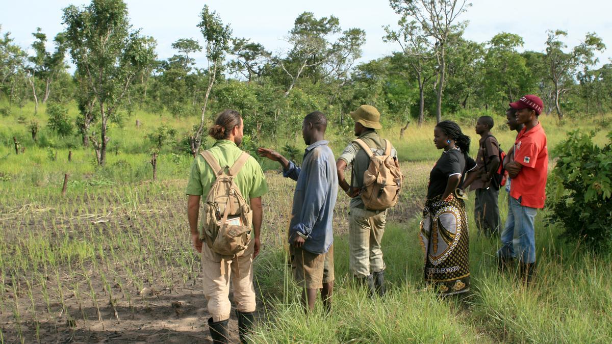 Formación del campesinado de Mozambique en la introducción de nuevos productos, y en nuevas técnicas agrícolas. El 82% de las personas de Mozambique vive por debajo del nivel de pobreza.