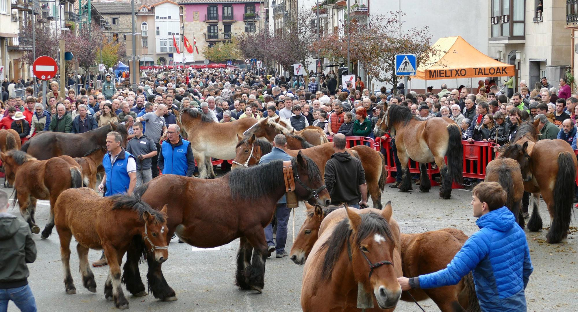 Fotos de las ferias de Altsasu este domingo