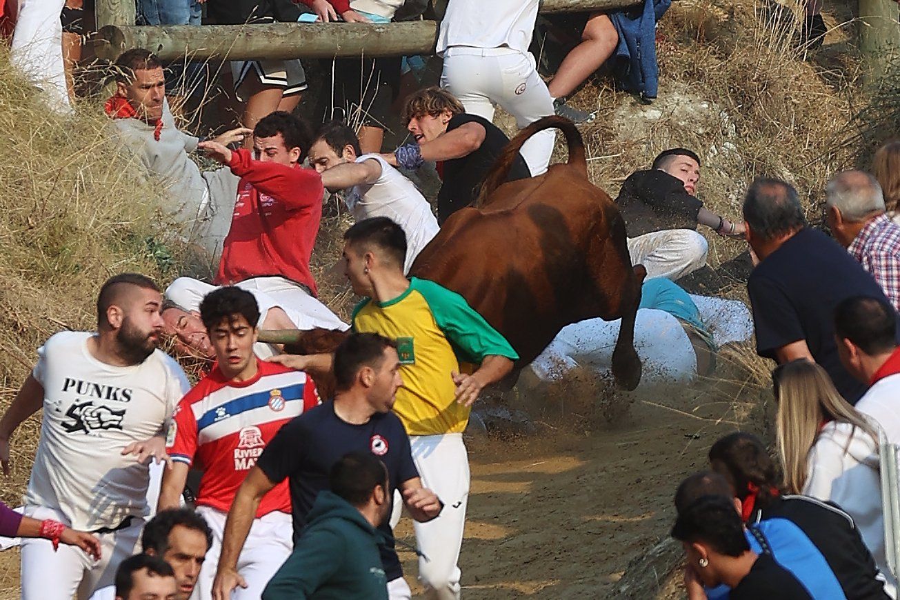 Fotos del cuarto encierro del Pilón de Falces 2025