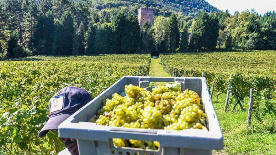 Gipuzkoa invertirá seis millones para impulsar el sector rural