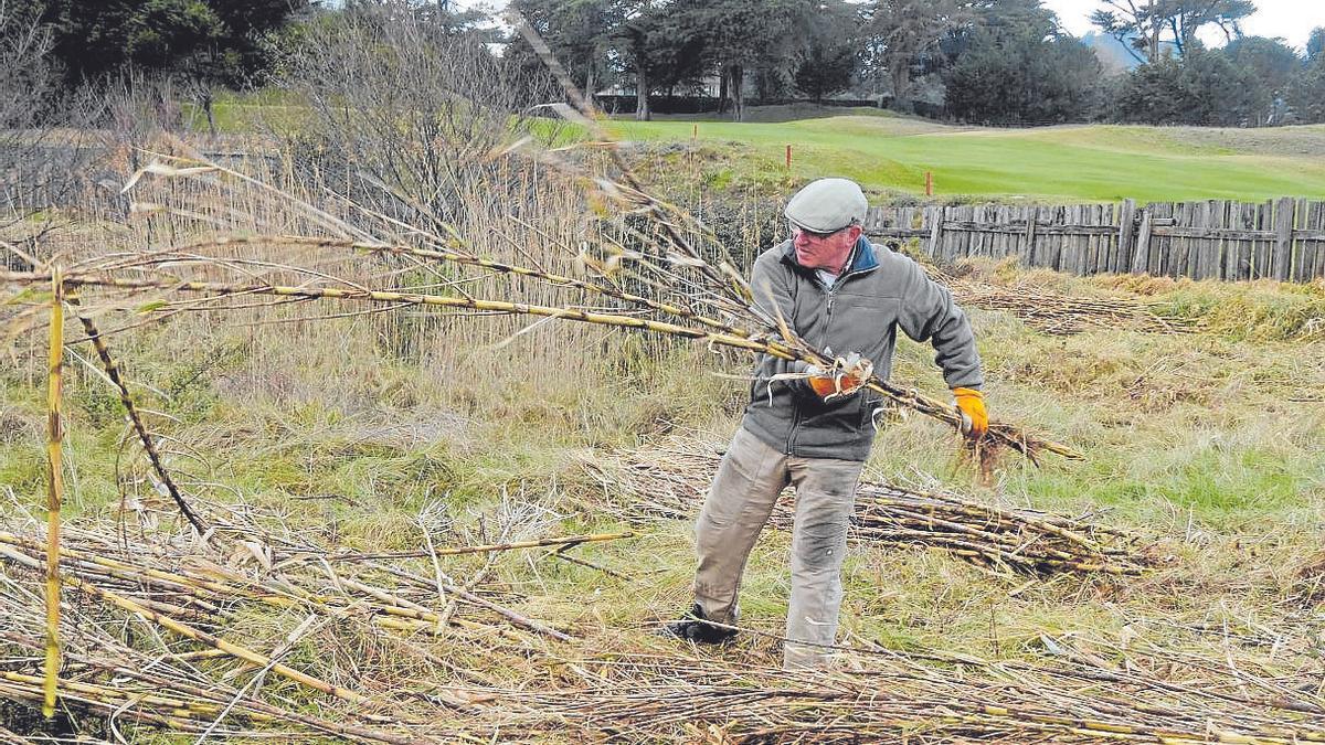 Arkamurkako Natur Taldeko kide bat kainaberak pilatzen.  | ARGAZKIA: ARKAMURKA