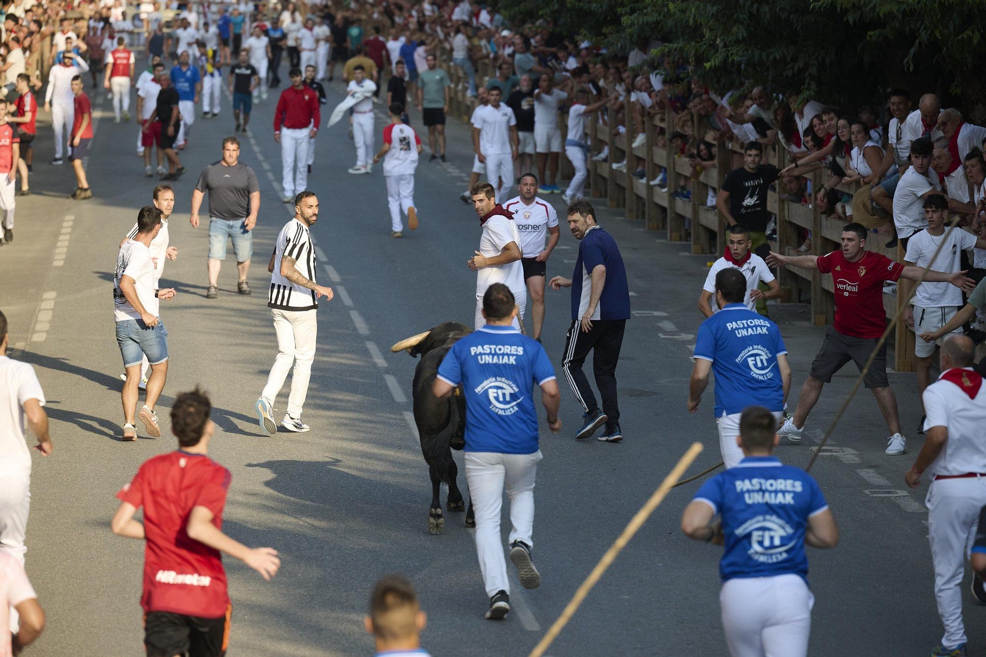 Fotos del primer encierro de fiestas de Tafalla
