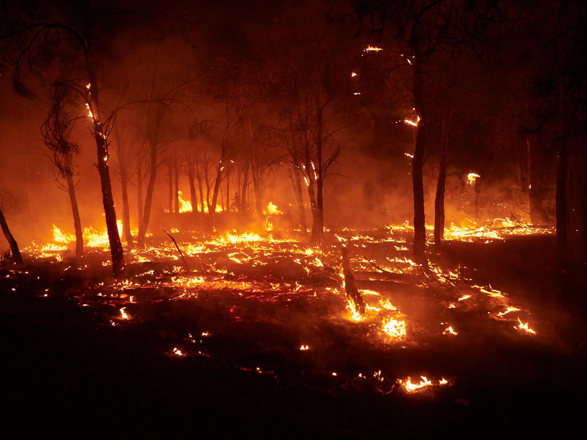 Fotos del incendio forestal cerca de Carcastillo