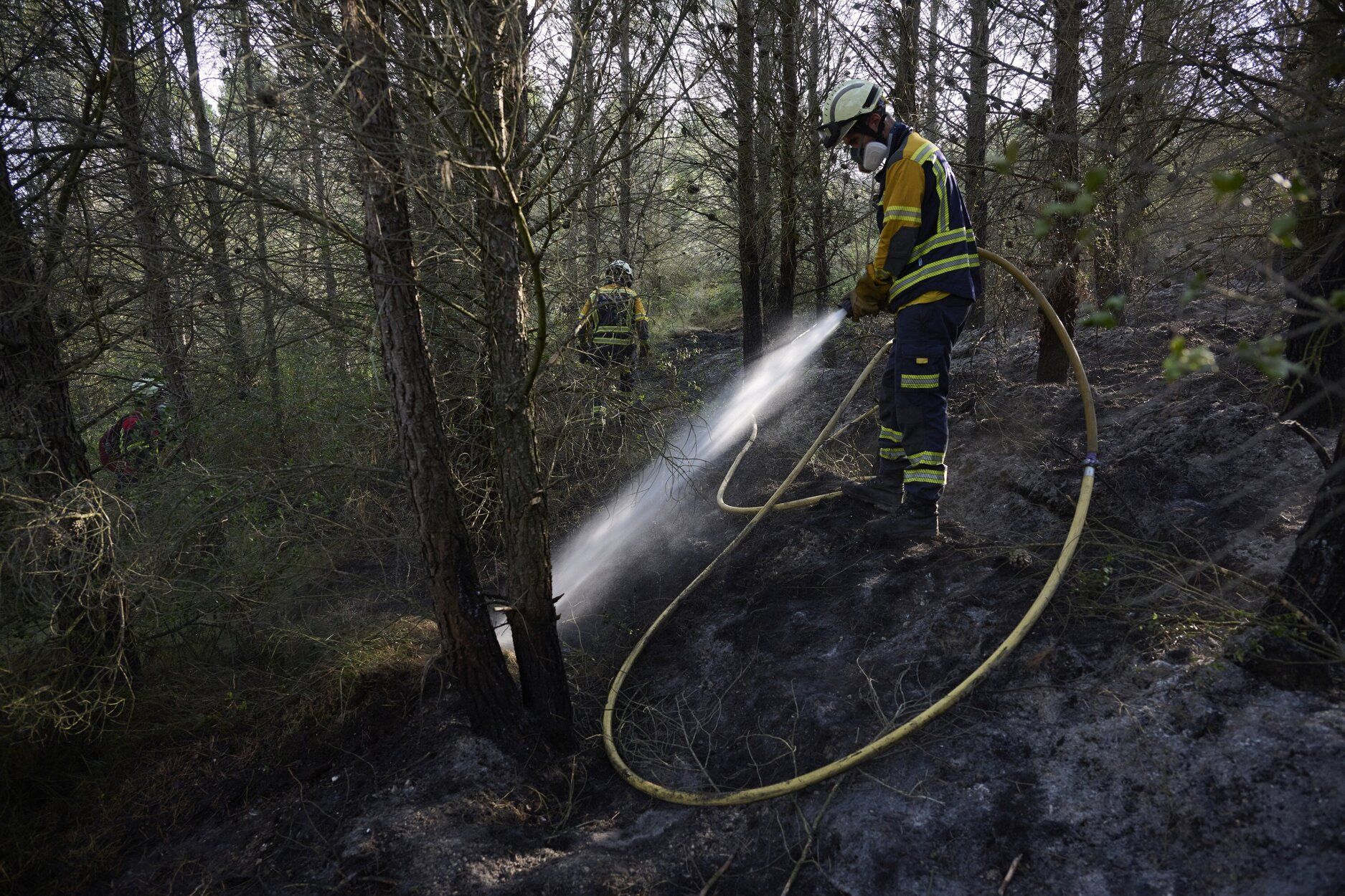 Imágenes de la zona afectada por el incendio en Enériz