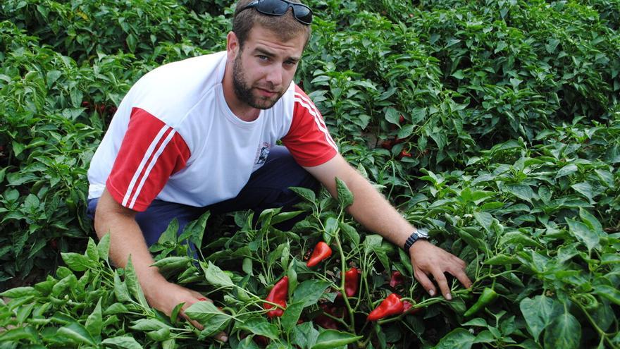 &quot;El Máster Tapas del Piquillo de Lodosa es un éxito&quot;