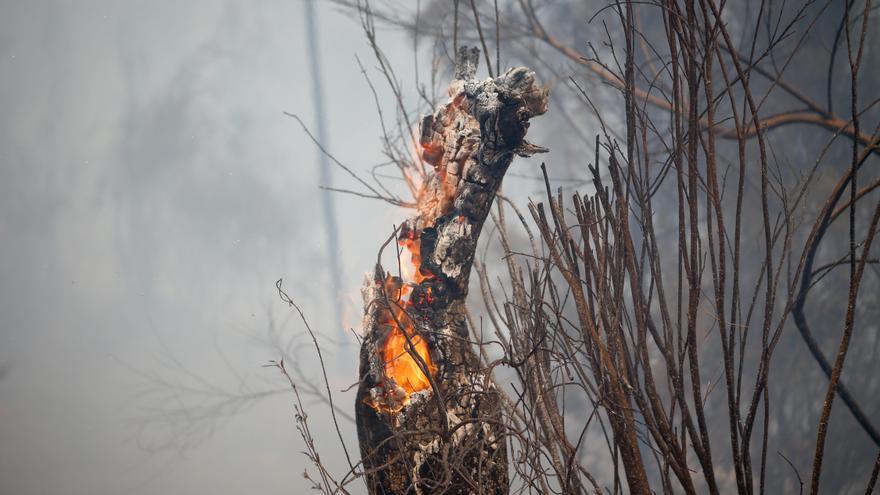Los bomberos logran extinguir el incendio de Cantabria mientras siguen los trabajos preventivos en los límites con León y Palencia
