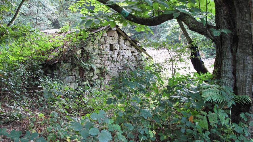 Uno de los rincones más desconocidos de Gipuzkoa: vistas impresionantes en un entorno sin masificar