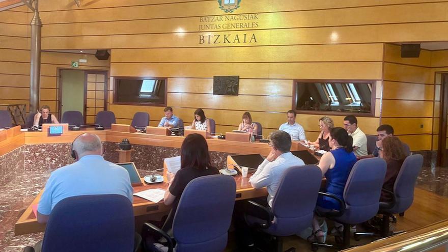 Solo el 2% de las 250 transiciones de centro de día a residencia para personas con discapacidad en Bizkaia ha sido “de oficio”