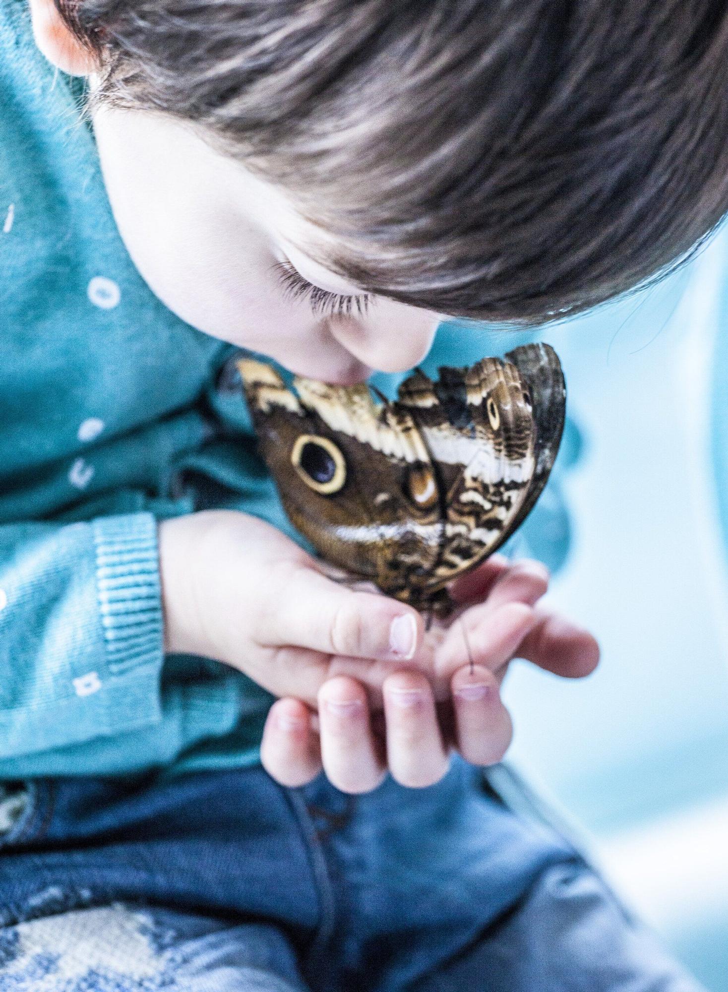 En imágenes: Maite Martínez captura la belleza con su cámara