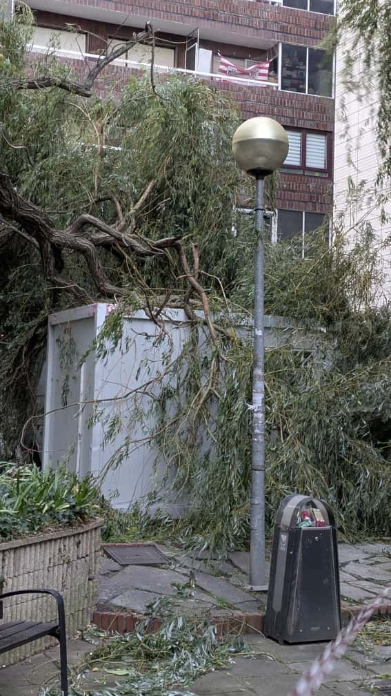 La borrasca Benjamín provoca incidencias en Bizkaia