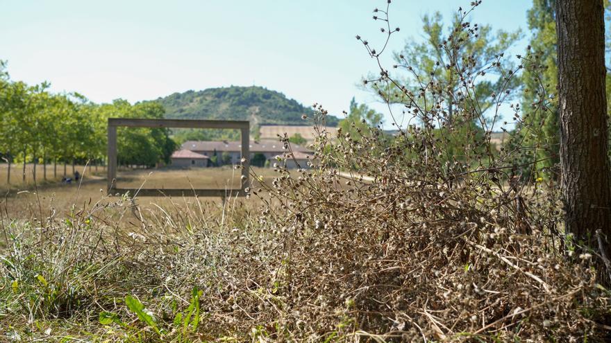 Así luce la campa de Olarizu tras 5 meses de huelga de jardineros
