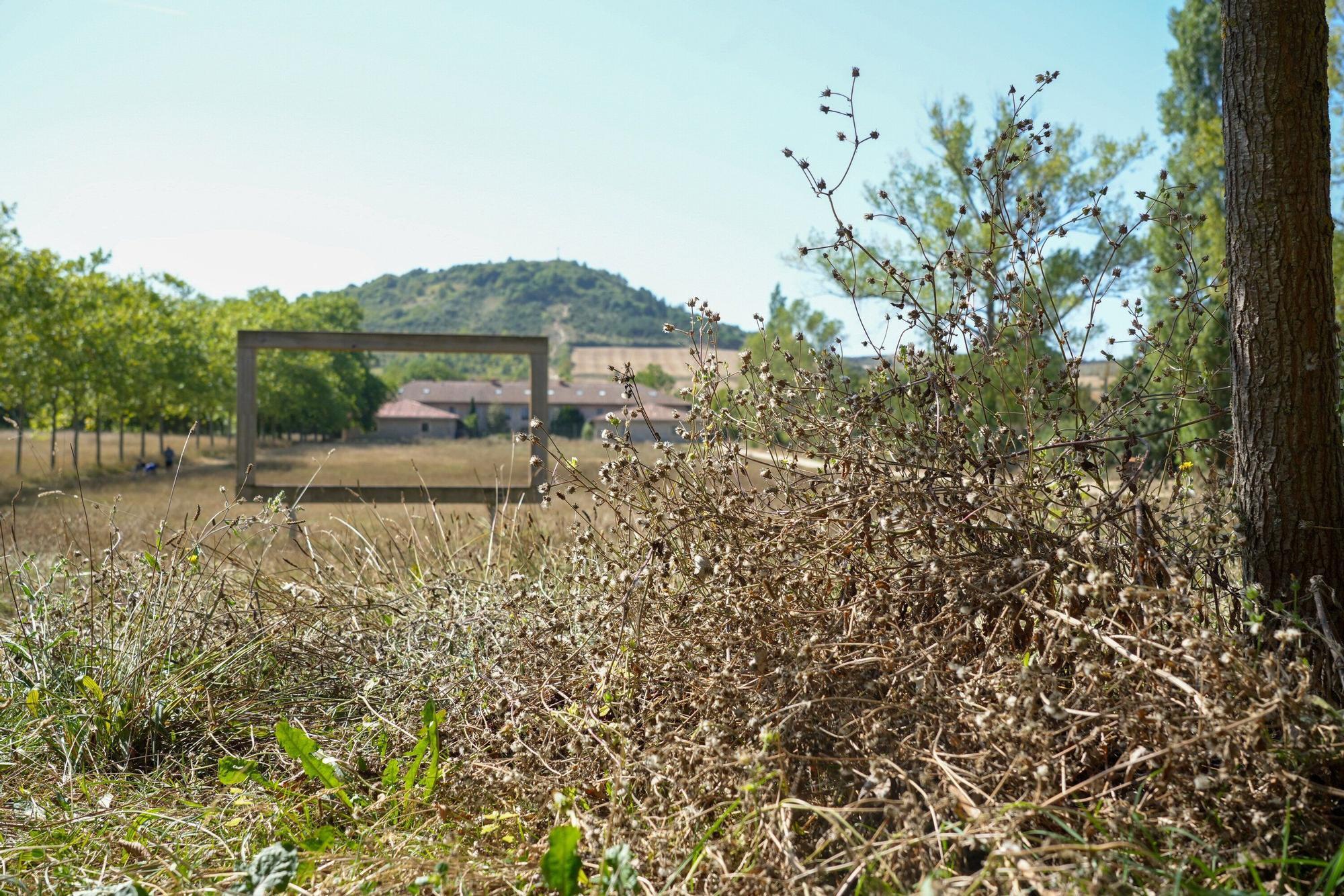 Así luce la campa de Olarizu tras 5 meses de huelga de jardineros
