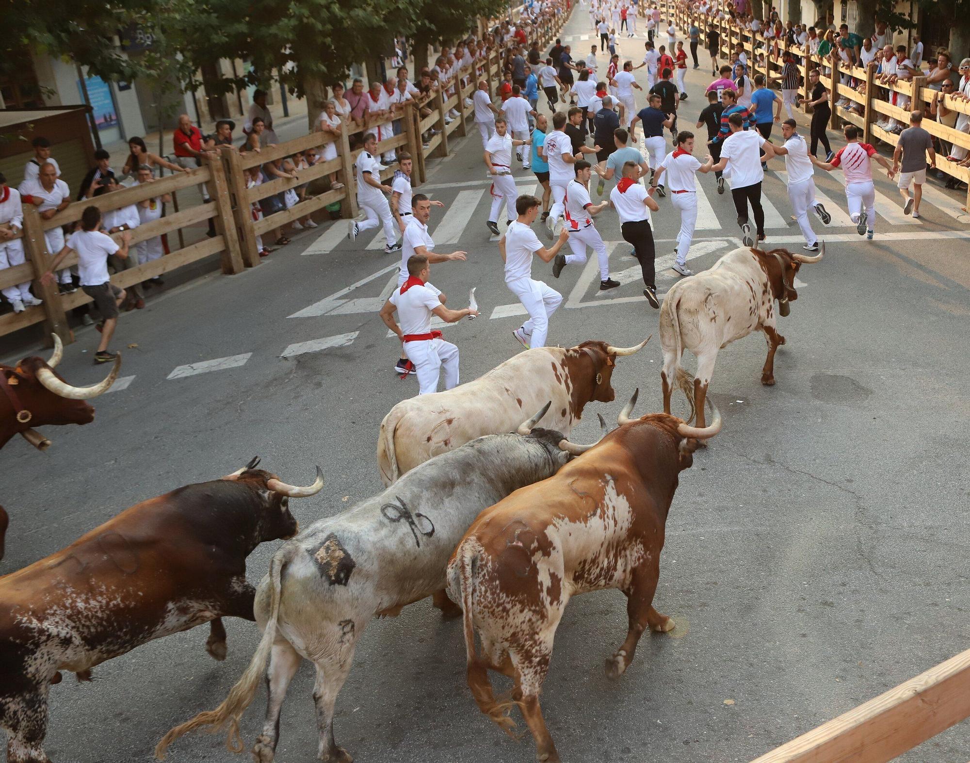 Fotos del tercer encierro de fiestas de Tafalla 2025