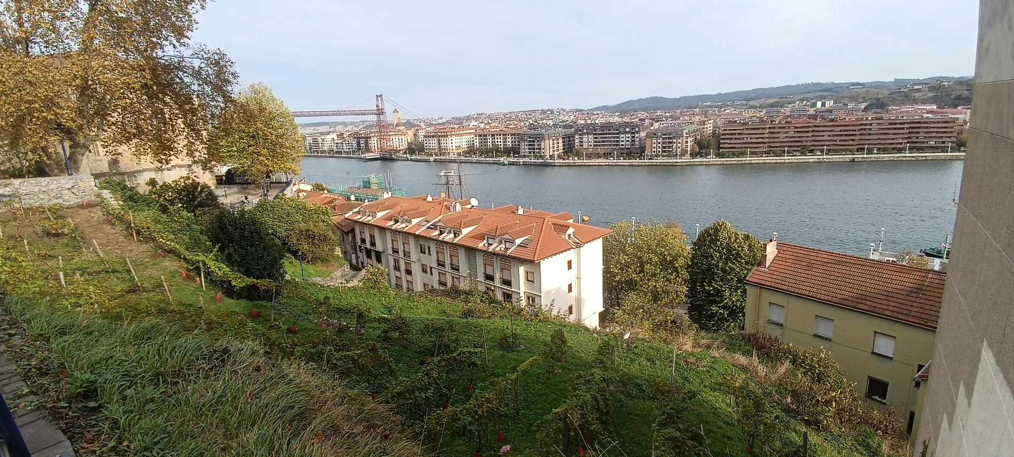 Portugaleteko Mahastizainak