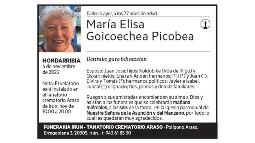 MARIA ELISA  GOICOECHEA PICABEA