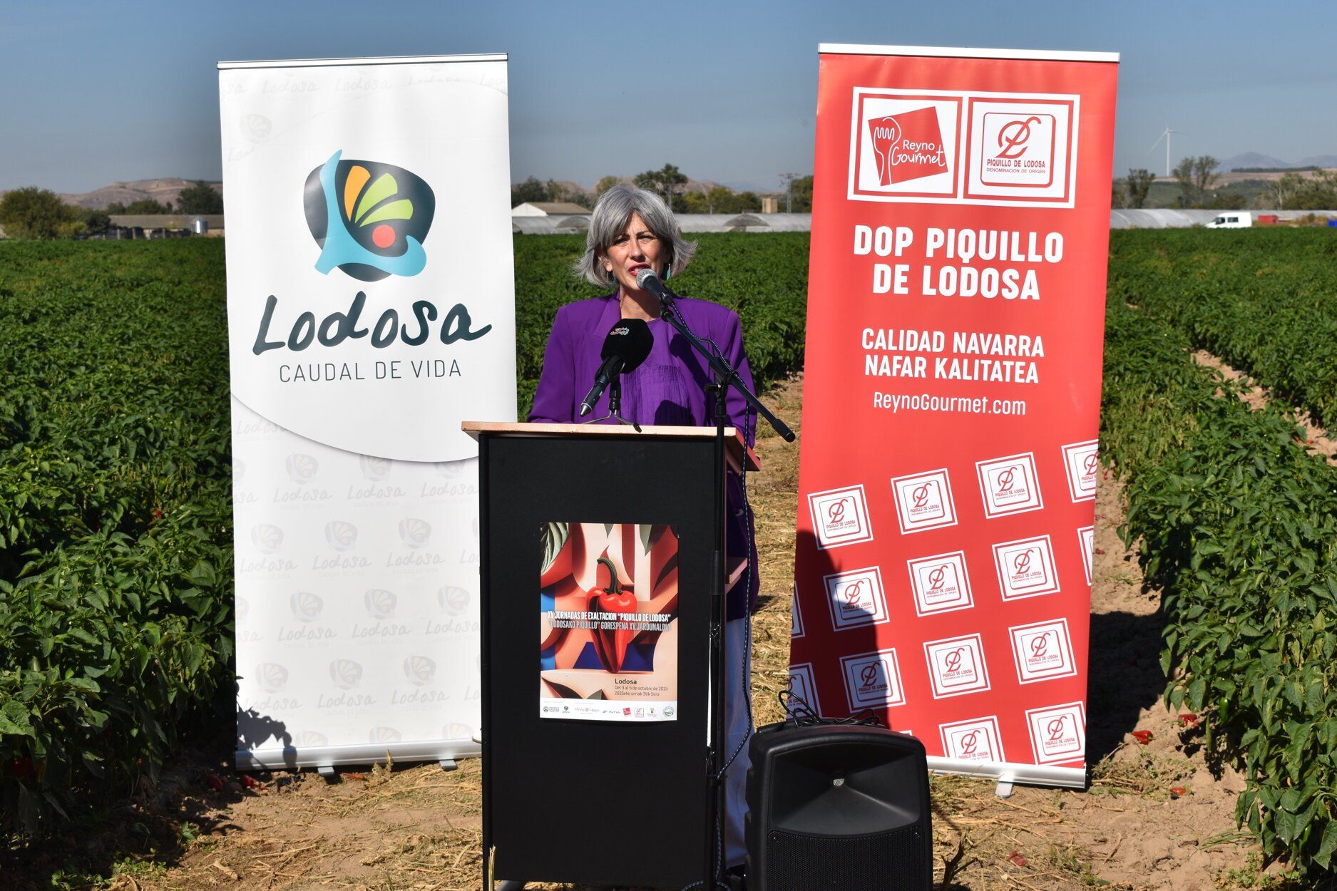 Fotos de las jornadas de exaltación del pimiento del piquillo de Lodosa
