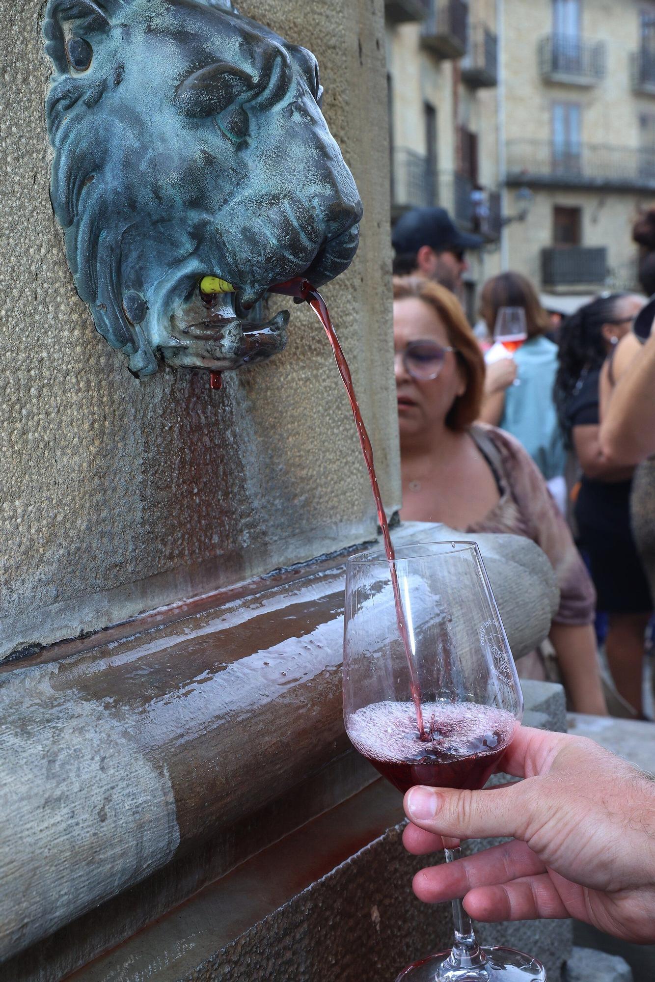 Fotos de la Fiesta de la Vendimia 2025 en Olite