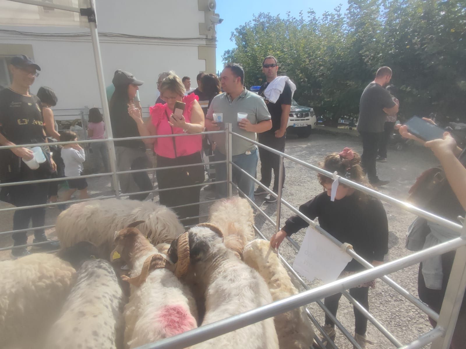 Fotos del Día del pastor en Améscoa