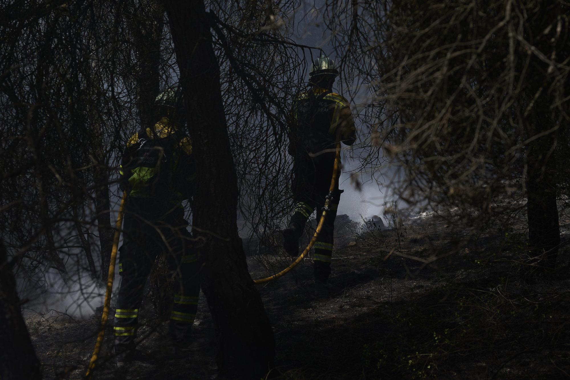 Fotos del incendio forestal cerca de Carcastillo