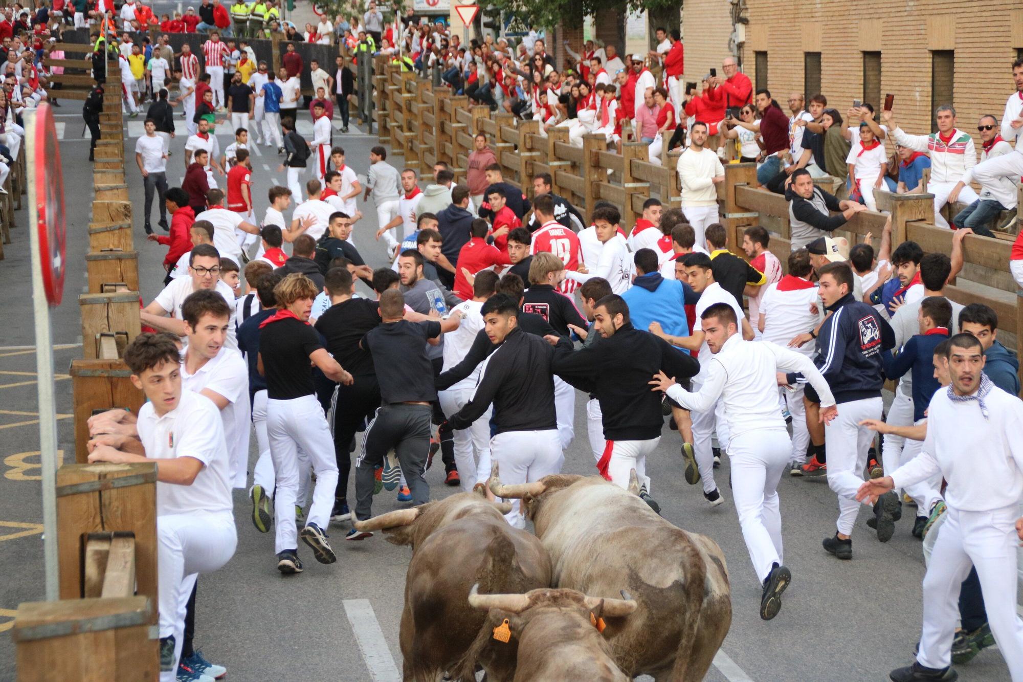 Fotos del sexto y último encierro de las fiestas de Tudela 2025