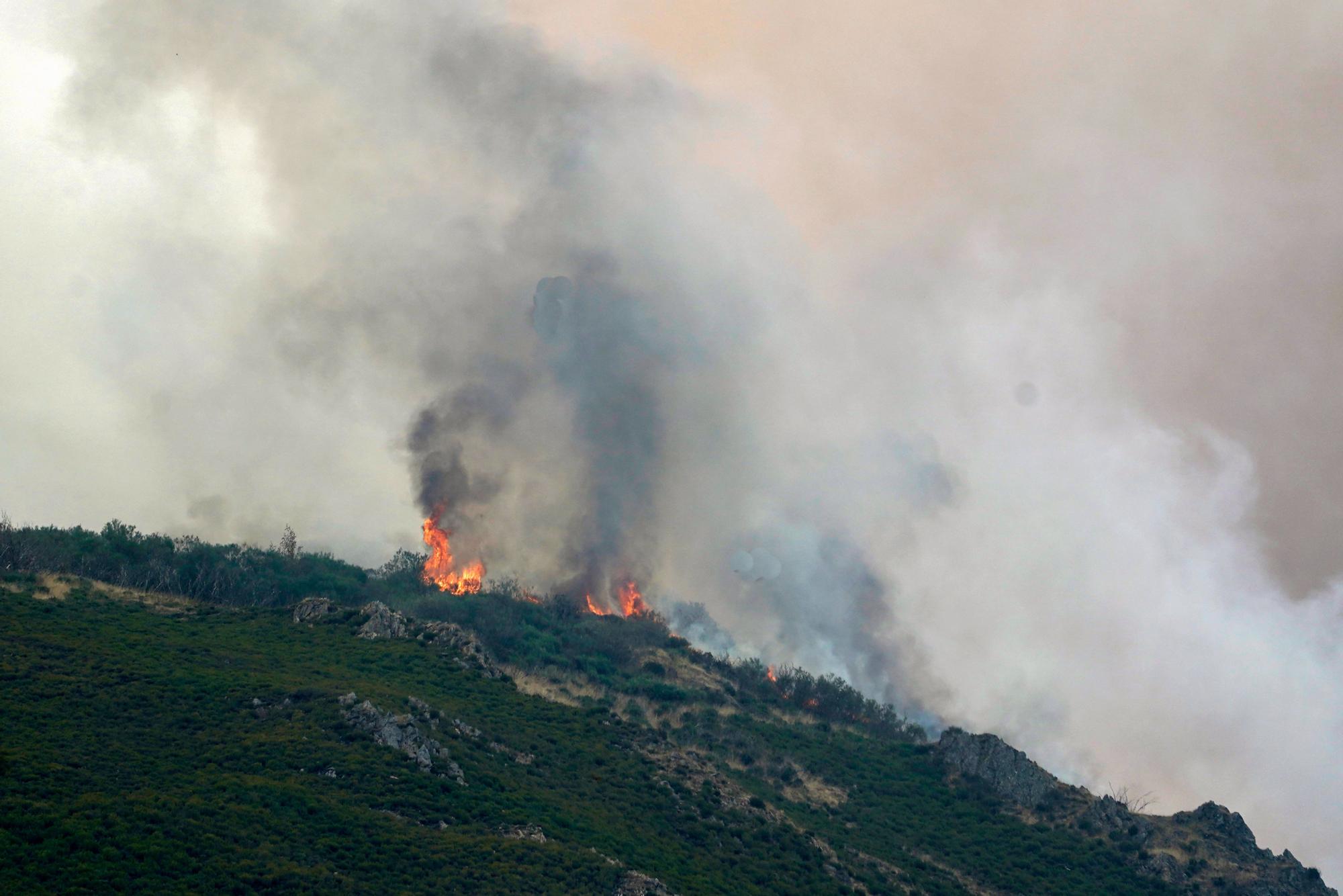 Semana negra de incendios: Cuatro muertos y 120.000 hectáreas quemadas