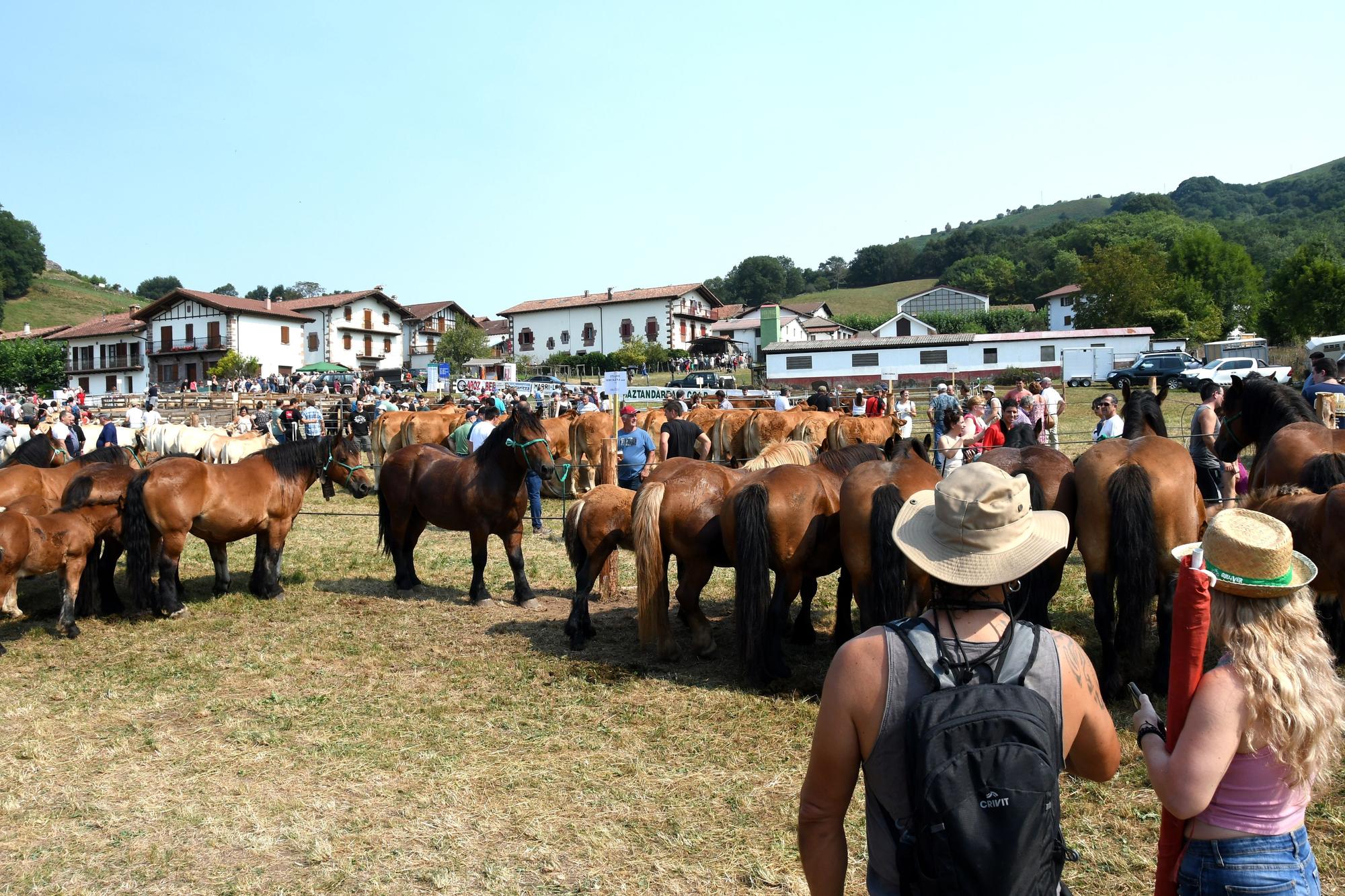 Artzai Eguna en Amaiur