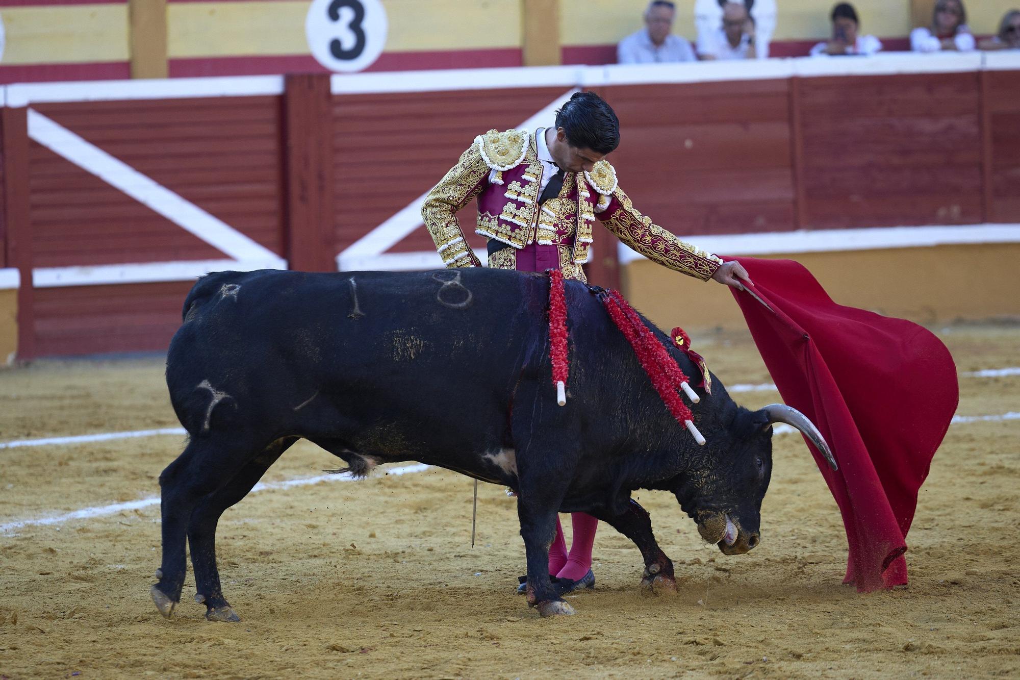 Fotos de la corrida de toros en Tudela con toros de Garzón Valdenebro
