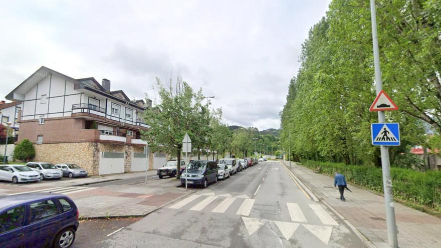 Zumar kaleko zuhaiztia berritzeko lehen jarduketa abiarazi du Durangok