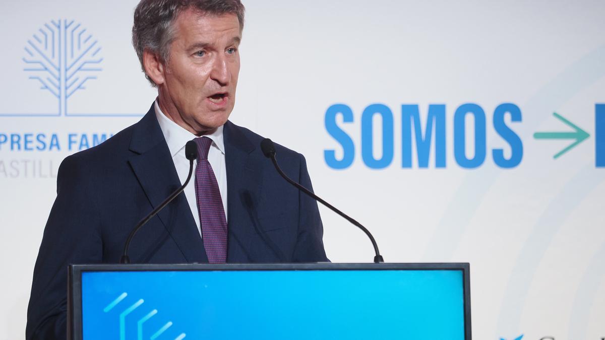 El presidente nacional del PP, Alberto Núñez Feijóo.