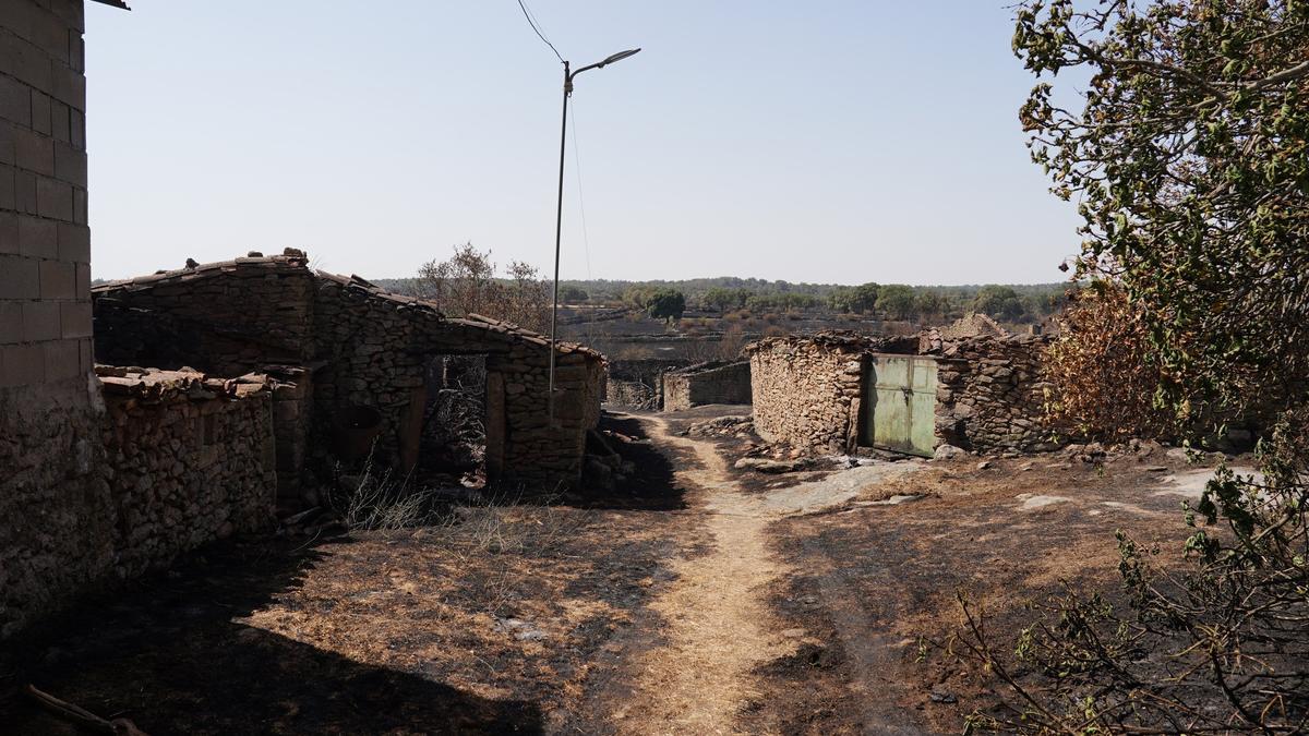 Semana negra de incendios: Cuatro muertos y 120.000 hectáreas quemadas