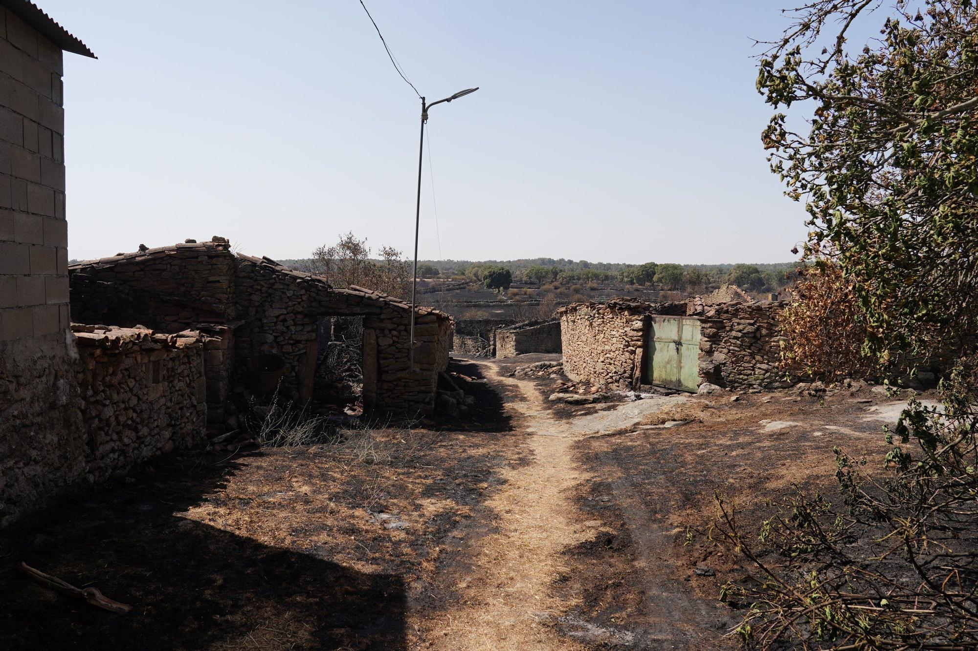 Semana negra de incendios: Cuatro muertos y 120.000 hectáreas quemadas