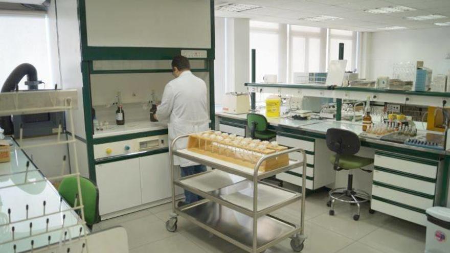 Detectan en Euskadi seis drogas de diseño completamente nuevas en España