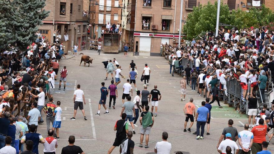 Lodosa vuelve a vibrar con el toro con soga