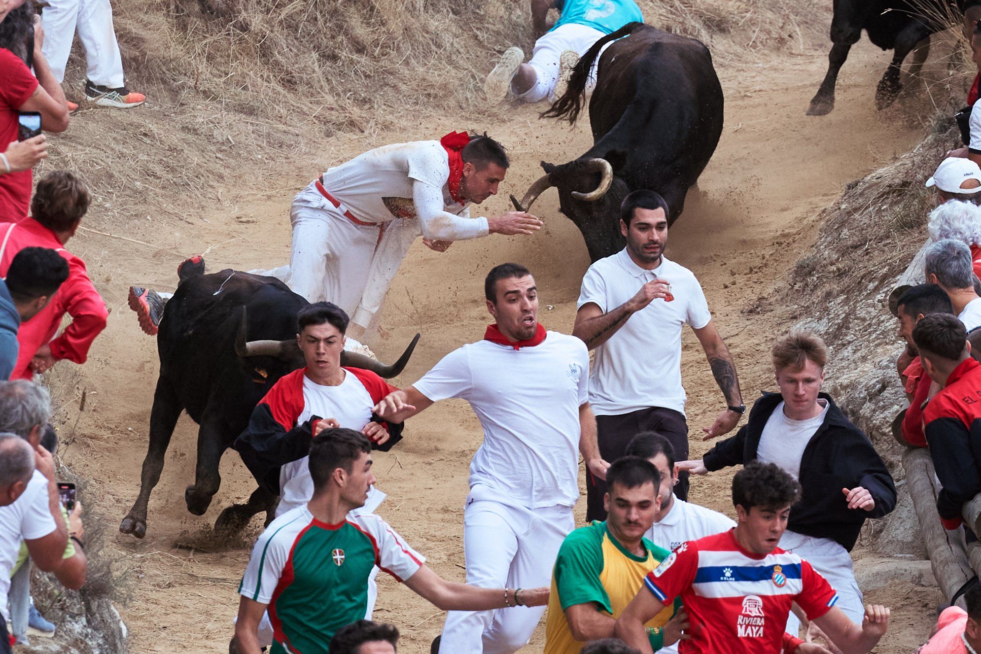 Fotos del tercer encierro del Pilón de Falces 2025