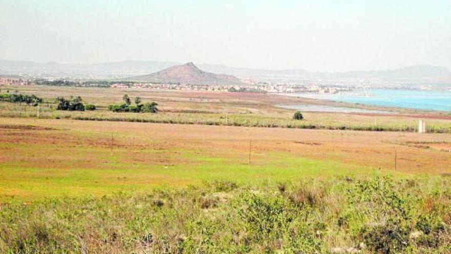 Hoy se subastan los terrenos del proyecto turístico vasco en Murcia