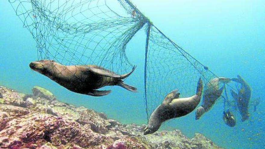 ‘Ahogados en plástico’, multipremiado documental producido por la BBC, en Odisea. Foto: AMC