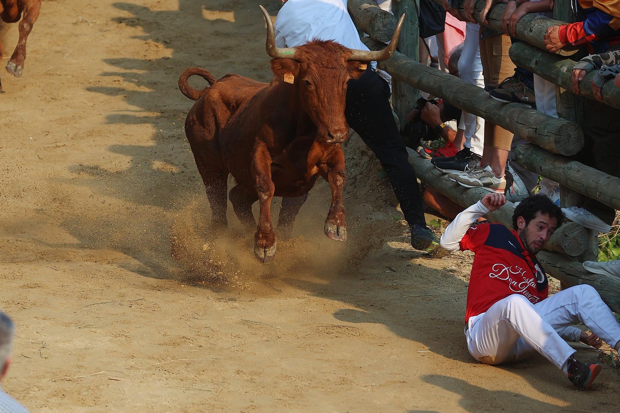 Fotos del cuarto encierro del Pilón de Falces 2025