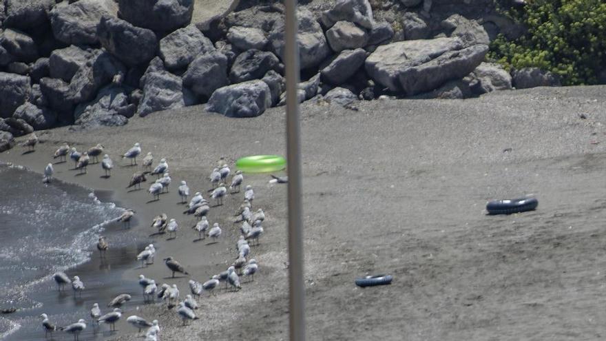 Dos menores migrantes entran a nado en Ceuta en una noche de alta presión migratoria