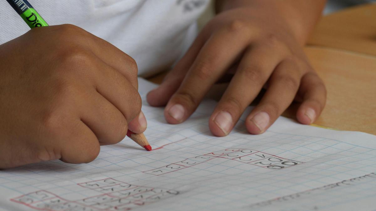 La solicitud se podrá presentar del 11 de noviembre al 10 de diciembre.