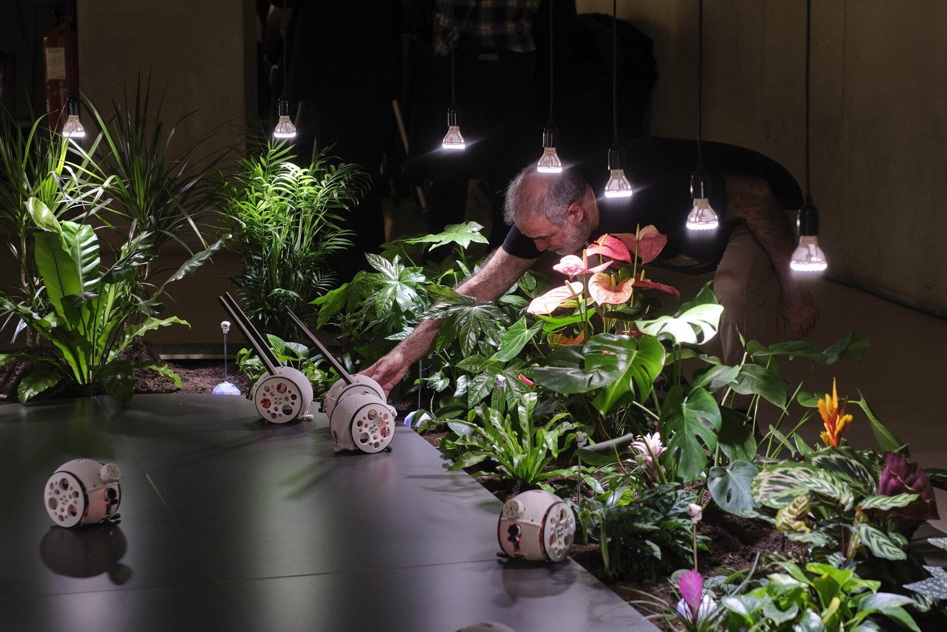 Plantas y robots interactúan en la propuesta de María Castellanos Vicente.