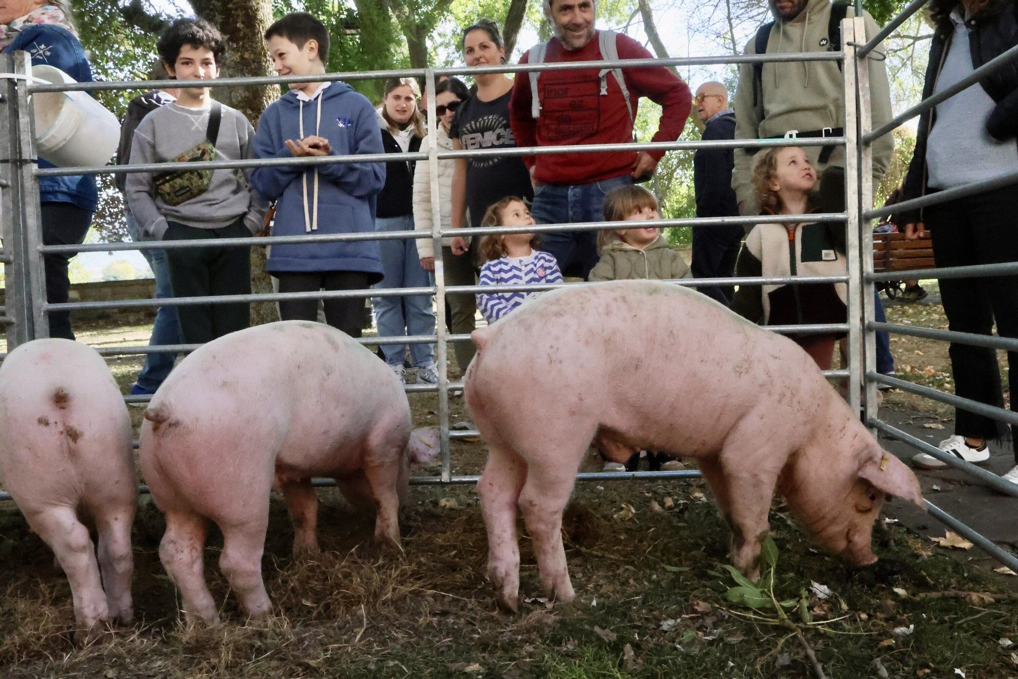 En imágenes: Miles de personas disfrutan de la 630 edición de la feria de Agurain