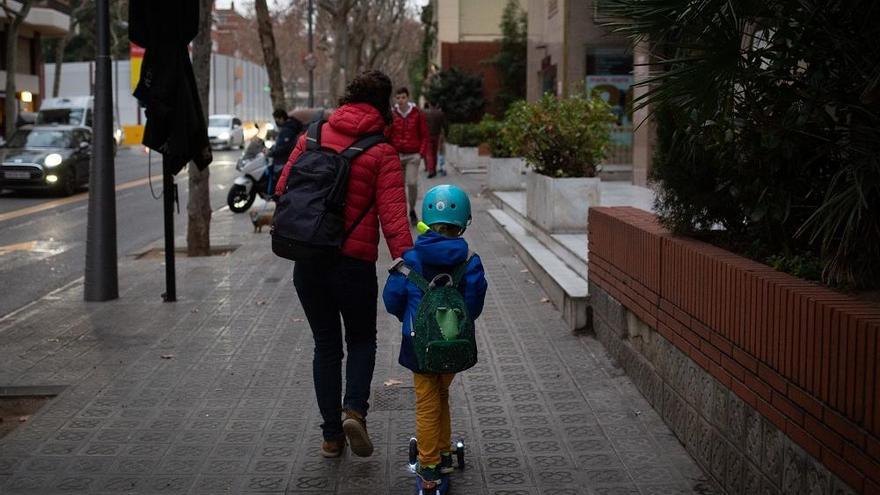 La Eurocámara examina el uso del castellano en la escuela catalana