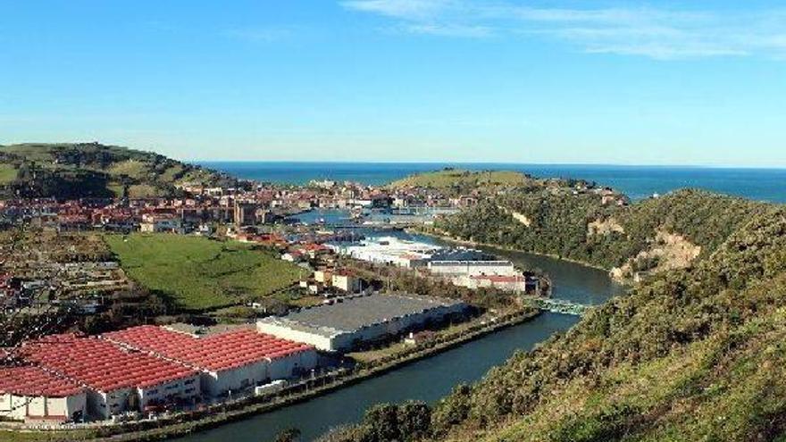 El encinar (derecha) de Zumaia, que se protegerá este año.