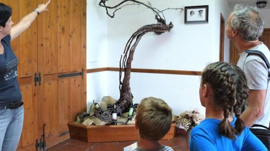 Disfruta de una experiencia con txakoli para toda la familia en esta bodega guipuzcoana