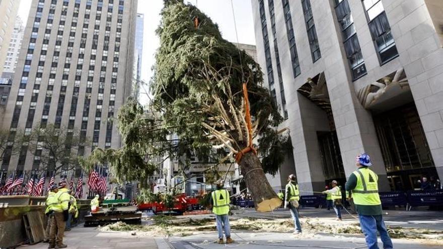 Nueva York recibe al famoso árbol del Rokefeller Center