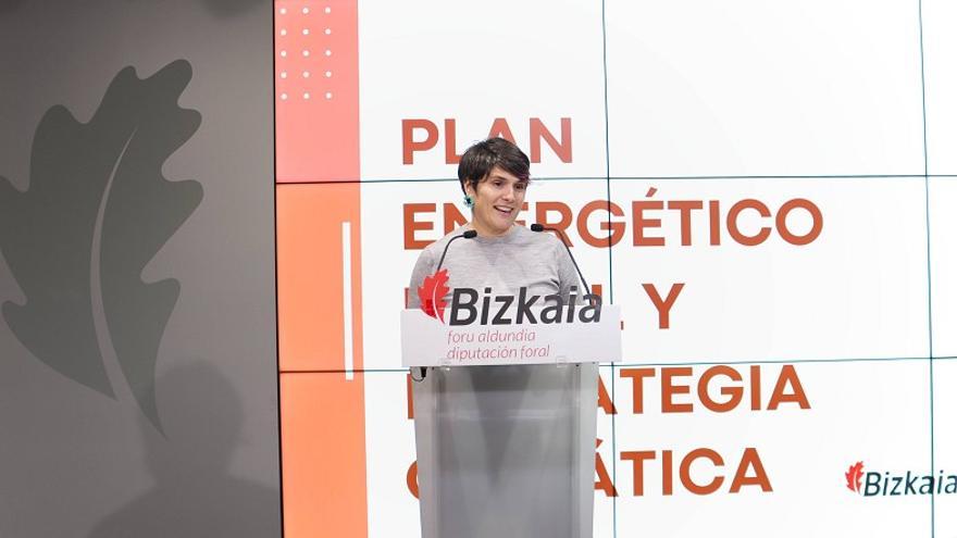 Bizkaiak bere energia-kontsumoa % 6 murriztu du