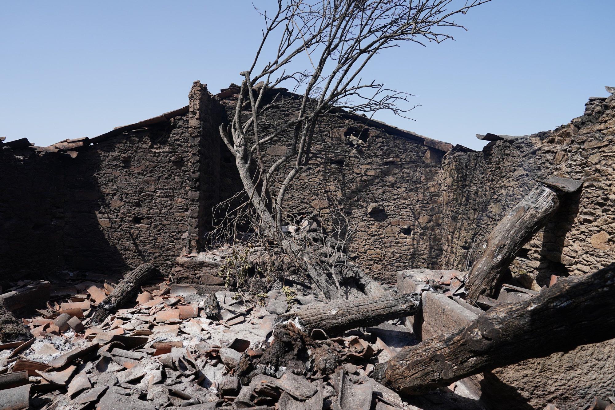 Semana negra de incendios: Cuatro muertos y 120.000 hectáreas quemadas