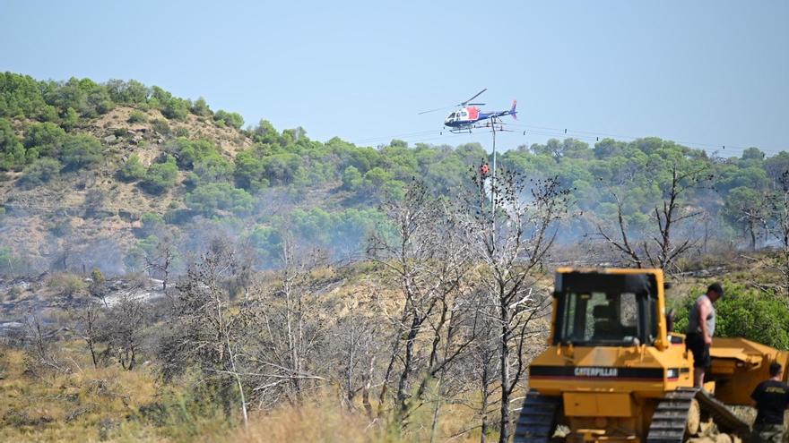 Un incendio forestal en Carcastillo obliga a desplegar un amplio dispositivo