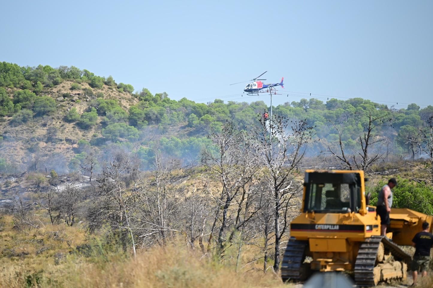 Fotos del incendio forestal cerca de Carcastillo